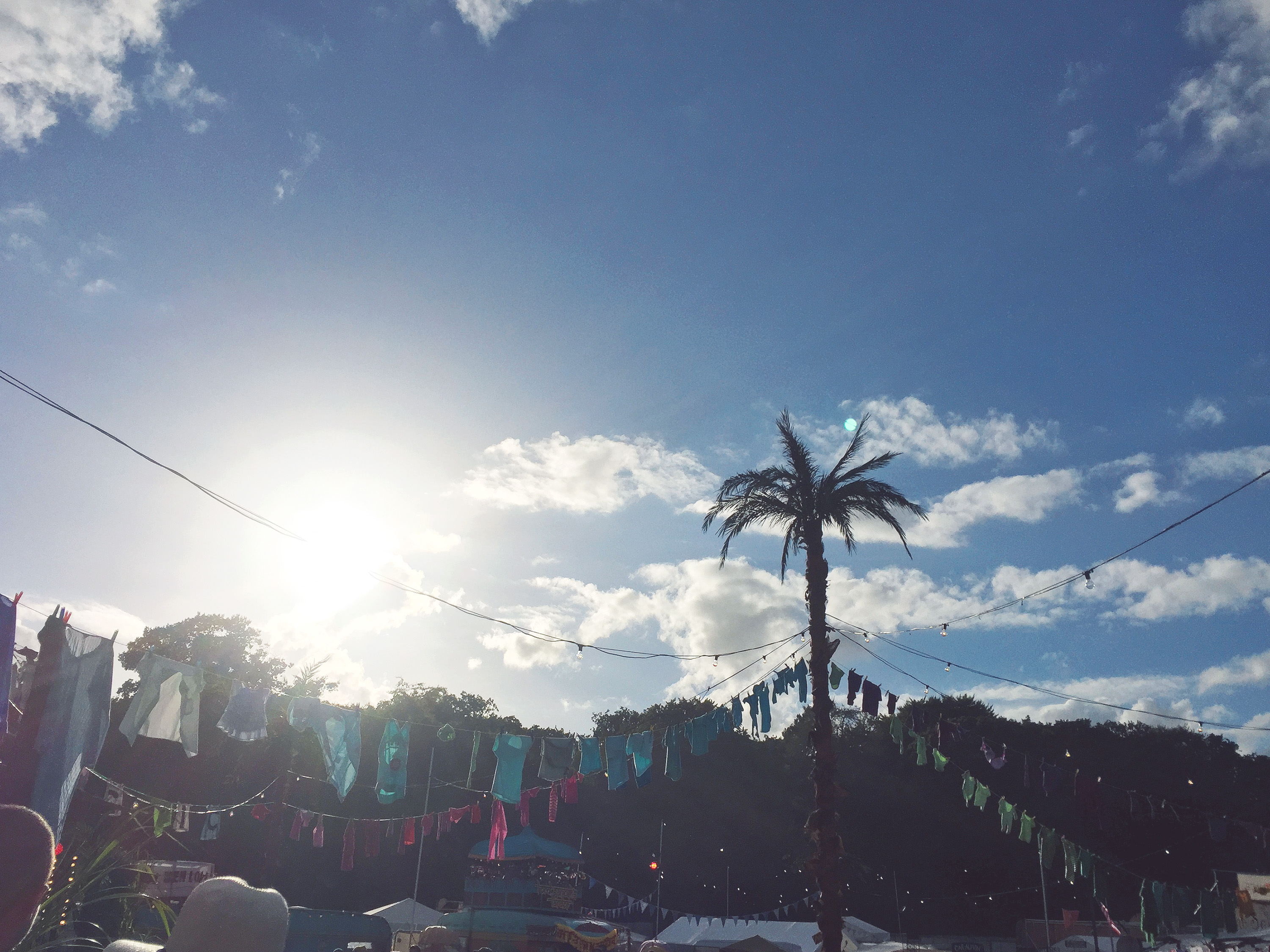 electric-picnic-festival-review